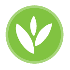 POP CULTURE BREWING CO